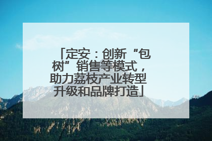 定安：创新“包树”销售等模式，助力荔枝产业转型升级和品牌打造
