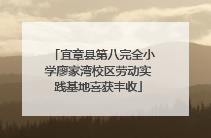 宜章县第八完全小学廖家湾校区劳动实践基地喜获丰收