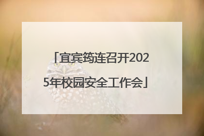 宜宾筠连召开2025年校园安全工作会