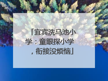 宜宾洗马池小学：童眼探小学，衔接没烦恼