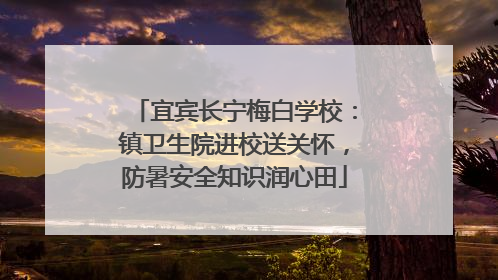 宜宾长宁梅白学校：镇卫生院进校送关怀，防暑安全知识润心田
