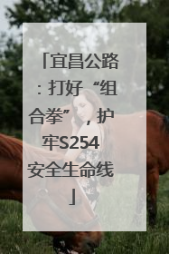 宜昌公路：打好“组合拳”，护牢S254安全生命线