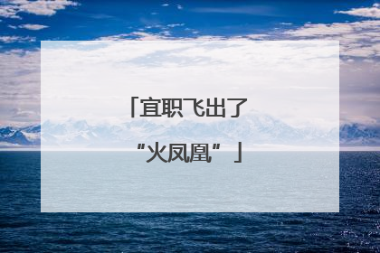 宜职飞出了“火凤凰”