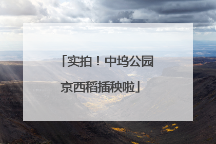 实拍！中坞公园京西稻插秧啦
