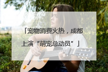 宠物消费火热，成都上演“萌宠总动员”