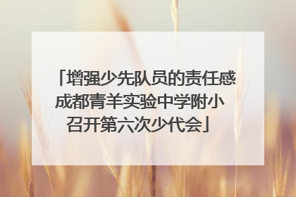 增强少先队员的责任感 成都青羊实验中学附小召开第六次少代会