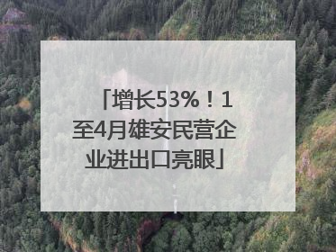 增长53%！1至4月雄安民营企业进出口亮眼