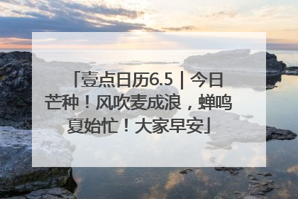壹点日历6.5｜今日芒种！风吹麦成浪，蝉鸣夏始忙！大家早安