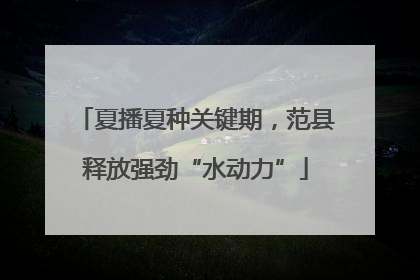 夏播夏种关键期，范县释放强劲“水动力”