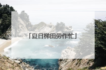 夏日梯田劳作忙