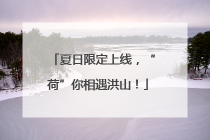 夏日限定上线，“荷”你相遇洪山！