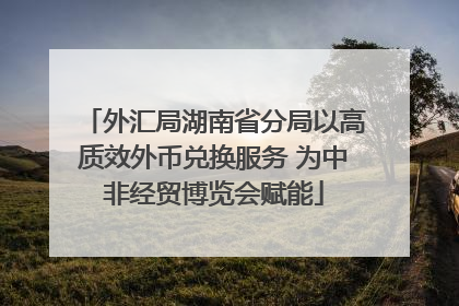 外汇局湖南省分局以高质效外币兑换服务 为中非经贸博览会赋能