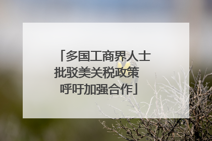 多国工商界人士批驳美关税政策 呼吁加强合作