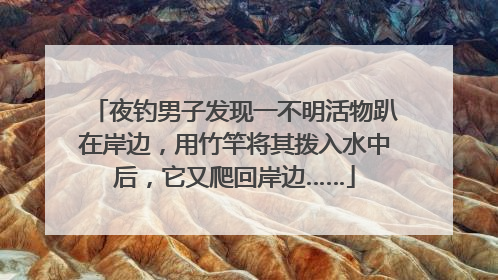夜钓男子发现一不明活物趴在岸边，用竹竿将其拨入水中后，它又爬回岸边……
