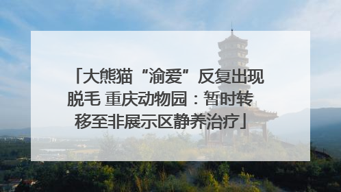 大熊猫“渝爱”反复出现脱毛 重庆动物园：暂时转移至非展示区静养治疗