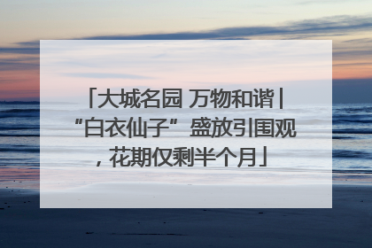 大城名园 万物和谐│“白衣仙子”盛放引围观，花期仅剩半个月