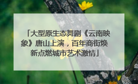 大型原生态舞剧《云南映象》唐山上演，百年商街焕新点燃城市艺术激情