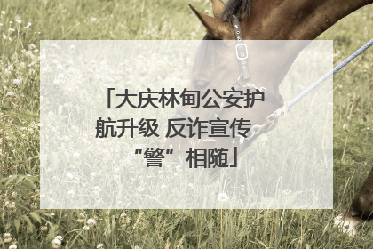 大庆林甸公安护航升级 反诈宣传“警”相随