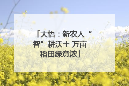 大悟：新农人“智”耕沃土 万亩稻田绿意浓