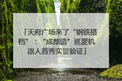天府广场来了“钢铁搭档”：“成都造”巡逻机器人首秀实景验证