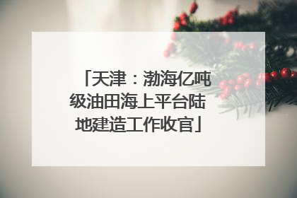 天津：渤海亿吨级油田海上平台陆地建造工作收官