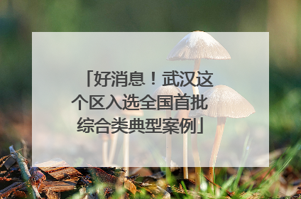 好消息！武汉这个区入选全国首批综合类典型案例