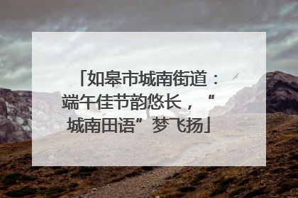 如皋市城南街道：端午佳节韵悠长，“城南田语”梦飞扬