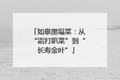 如皋黑塌菜：从“霜打趴菜”到“长寿金叶”