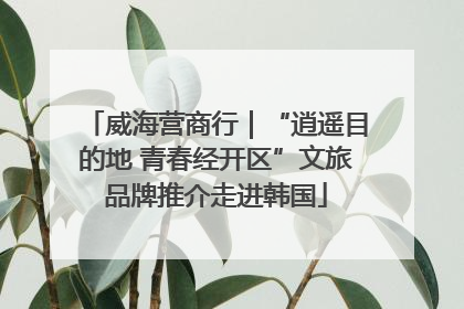 威海营商行｜“逍遥目的地 青春经开区”文旅品牌推介走进韩国