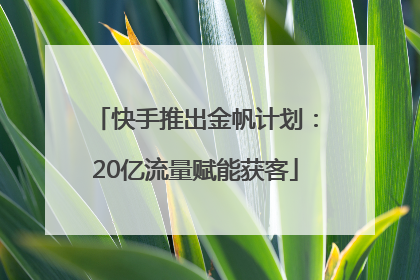 快手推出金帆计划：20亿流量赋能获客