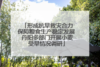 形成抗旱救灾合力 保障粮食生产稳定发展 丹阳多部门开展小麦受旱情况调研