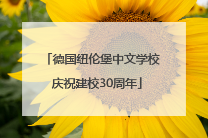 德国纽伦堡中文学校庆祝建校30周年