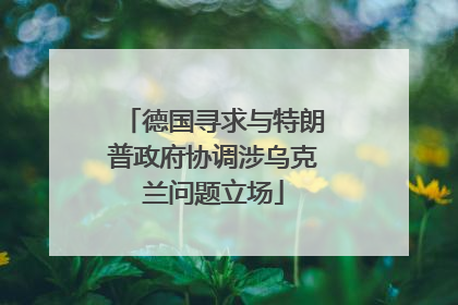 德国寻求与特朗普政府协调涉乌克兰问题立场