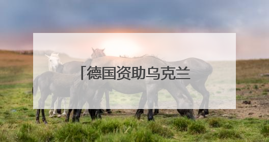德国资助乌克兰生产远程武器 俄罗斯警告德“已再次成为敌人”