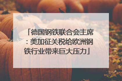 德国钢铁联合会主席：美加征关税给欧洲钢铁行业带来巨大压力