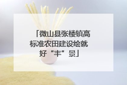 微山县张楼镇高标准农田建设绘就好“丰”景