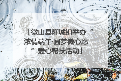 微山县驩城镇举办“浓情端午·圆梦微心愿”爱心帮扶活动