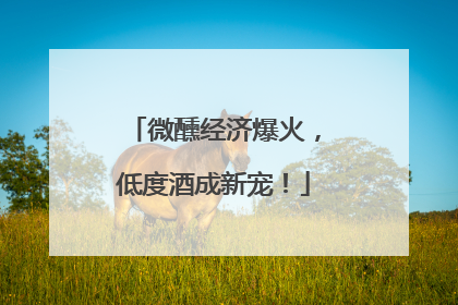 微醺经济爆火，低度酒成新宠！