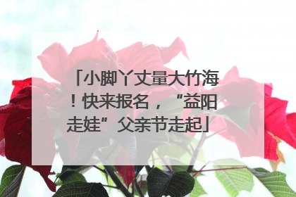 小脚丫丈量大竹海！快来报名，“益阳走娃”父亲节走起
