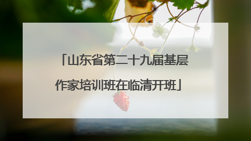山东省第二十九届基层作家培训班在临清开班