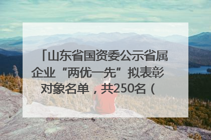 山东省国资委公示省属企业“两优一先”拟表彰对象名单，共250名（个）党员和党组织