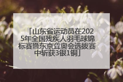 山东省运动员在2025年全国残疾人羽毛球锦标赛暨东京聋奥会选拔赛中斩获3银1铜