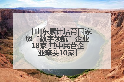 山东累计培育国家级“数字领航”企业18家 其中民营企业牵头10家