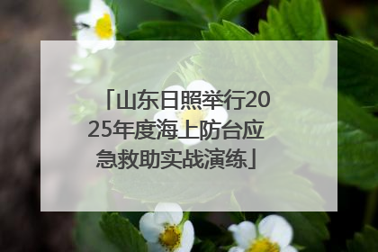 山东日照举行2025年度海上防台应急救助实战演练