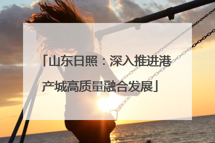 山东日照：深入推进港产城高质量融合发展