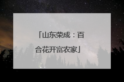山东荣成：百合花开富农家