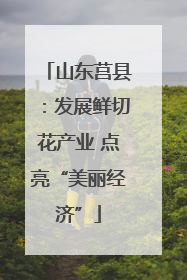 山东莒县：发展鲜切花产业 点亮“美丽经济”