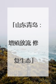 山东青岛：增殖放流 修复生态
