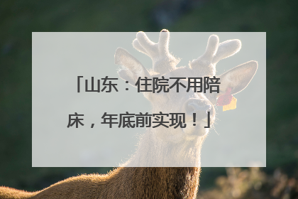 山东：住院不用陪床，年底前实现！