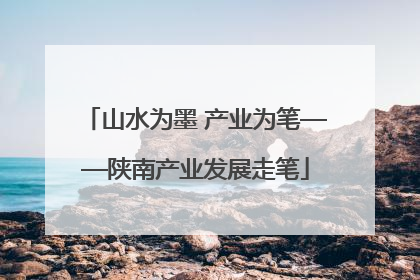 山水为墨 产业为笔——陕南产业发展走笔